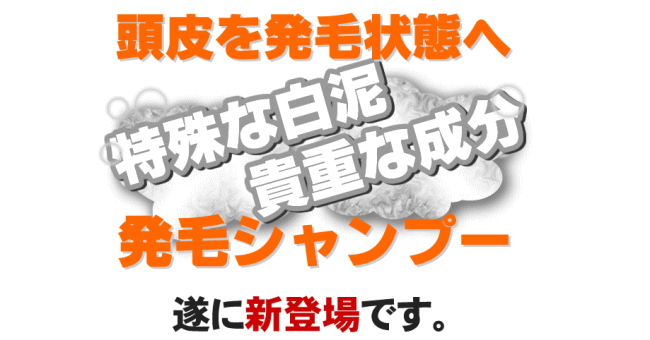 ����z���C�g�N���C�V�����v�[�����ʔ�